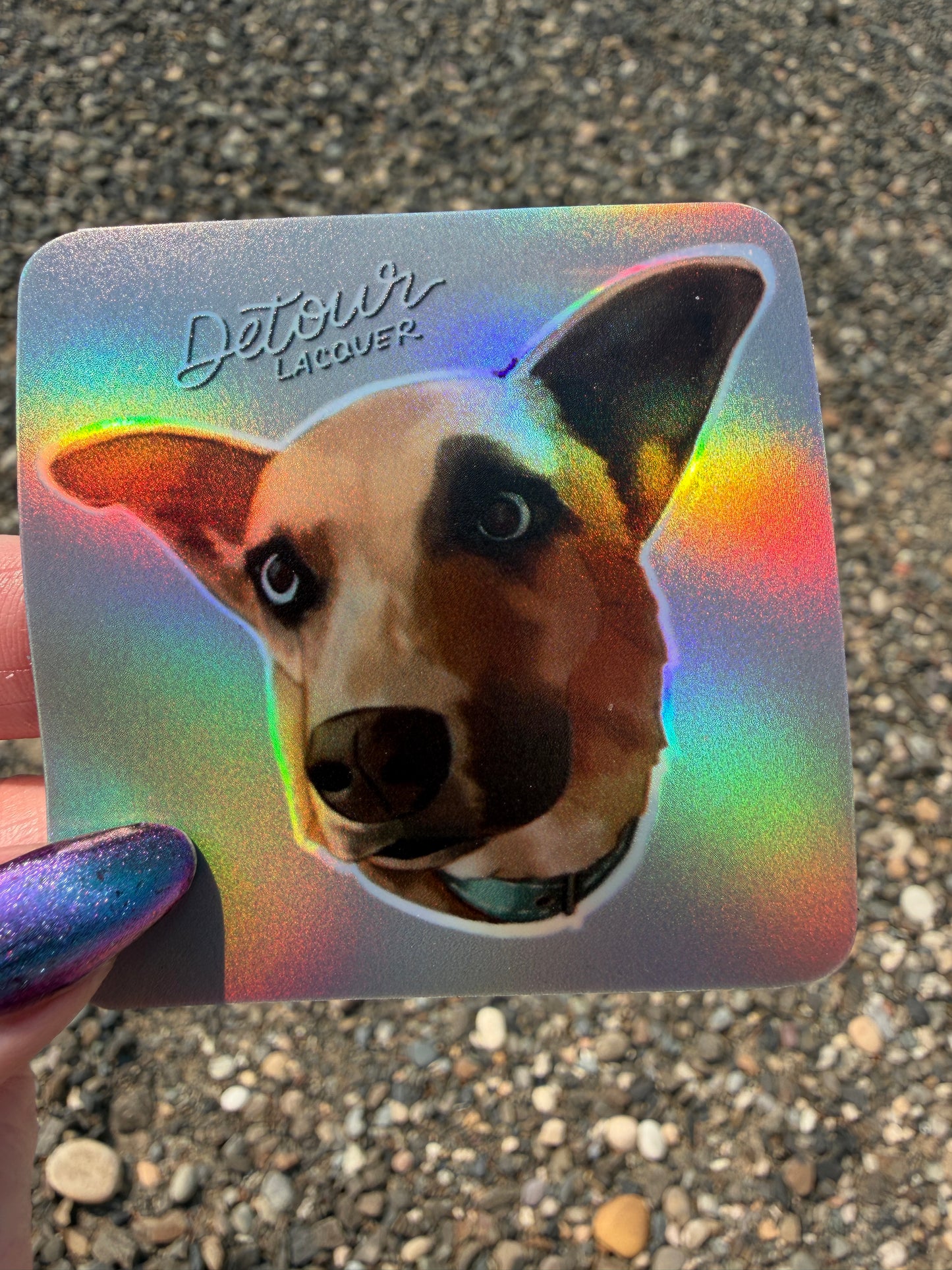 Brinn Sticker (Holo)