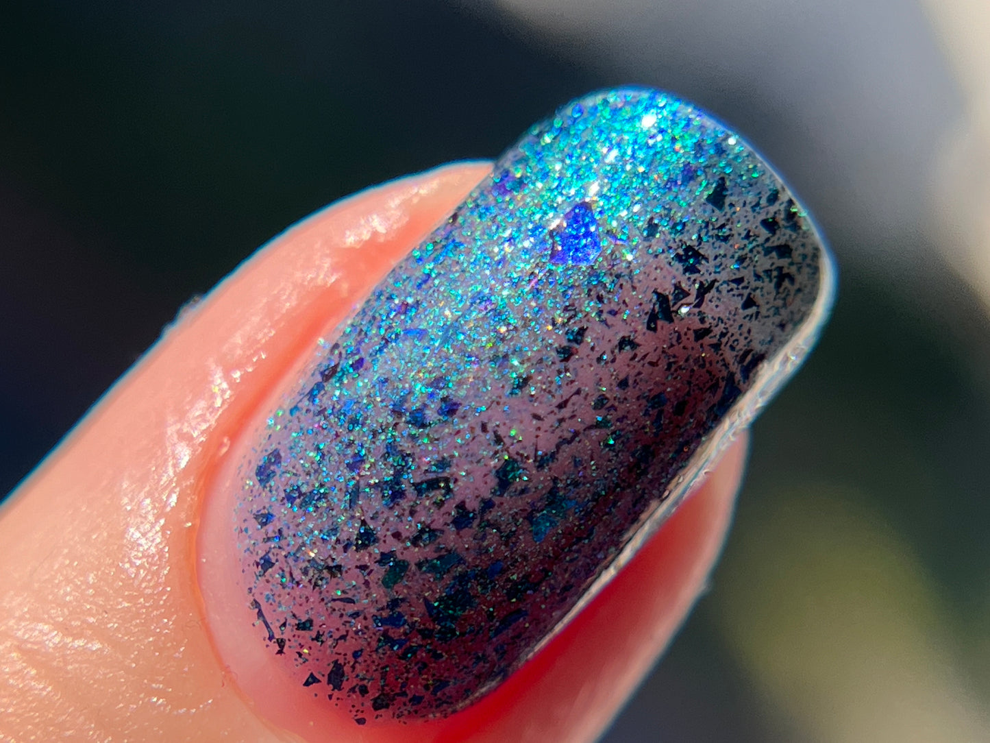 Don’t Be Weevil SoU