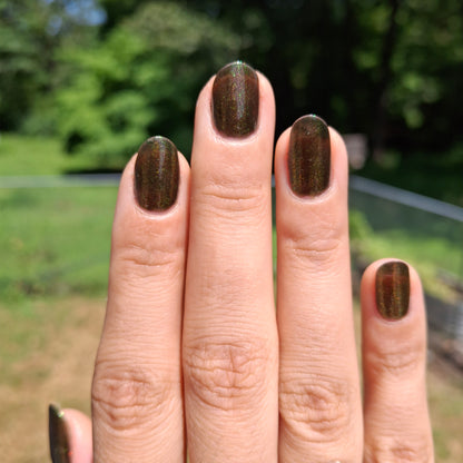 Gilded Embers