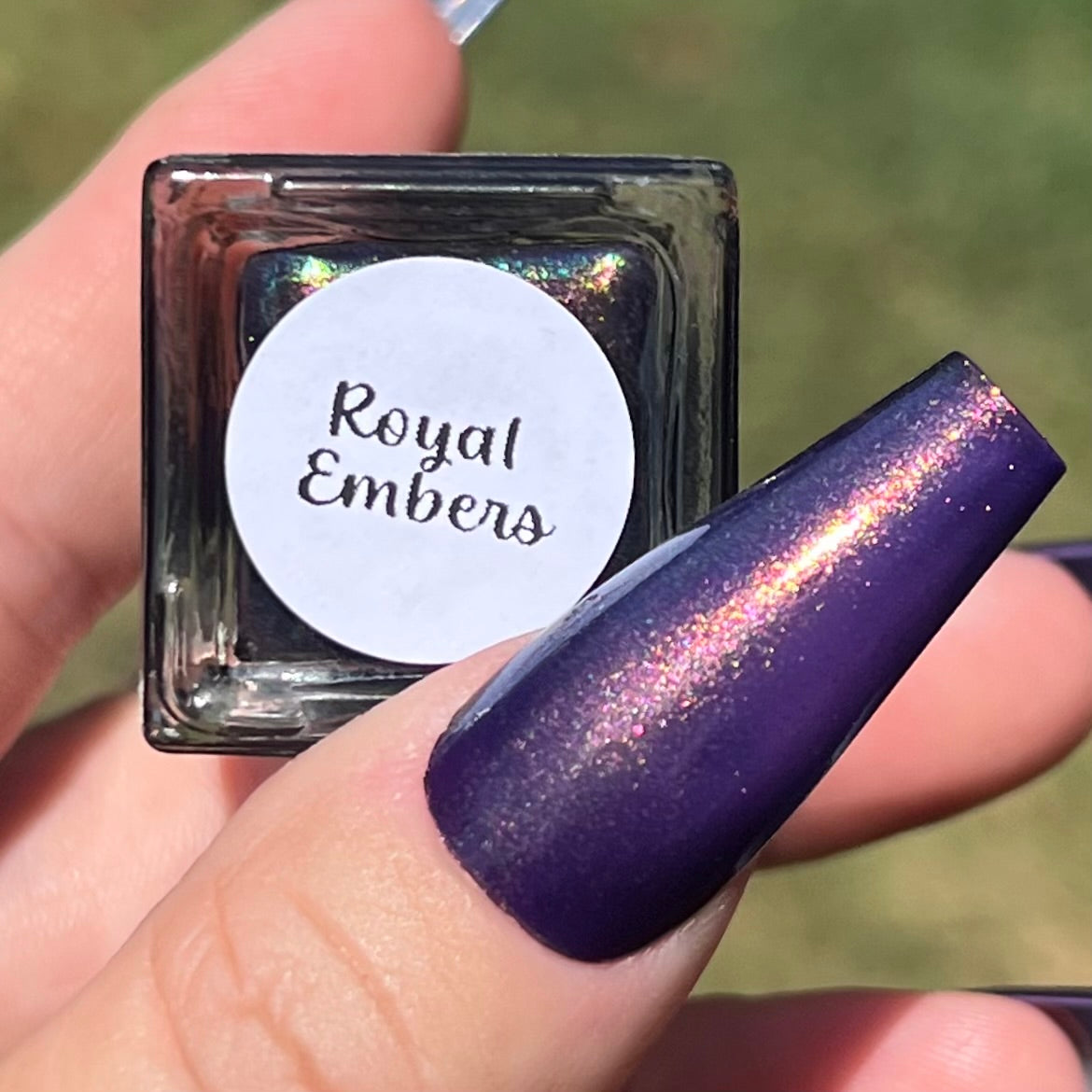 Royal Embers