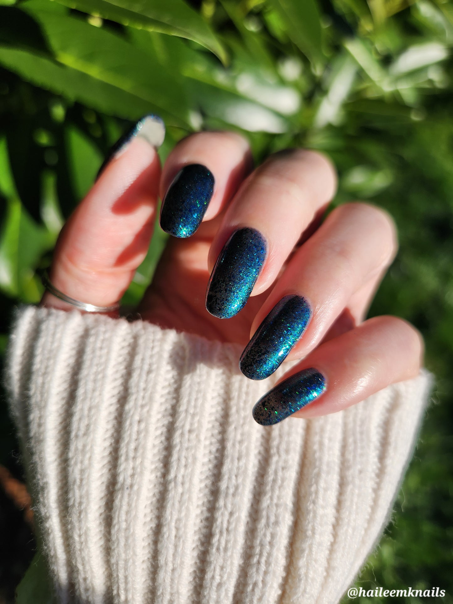 Don’t Be Weevil SoU