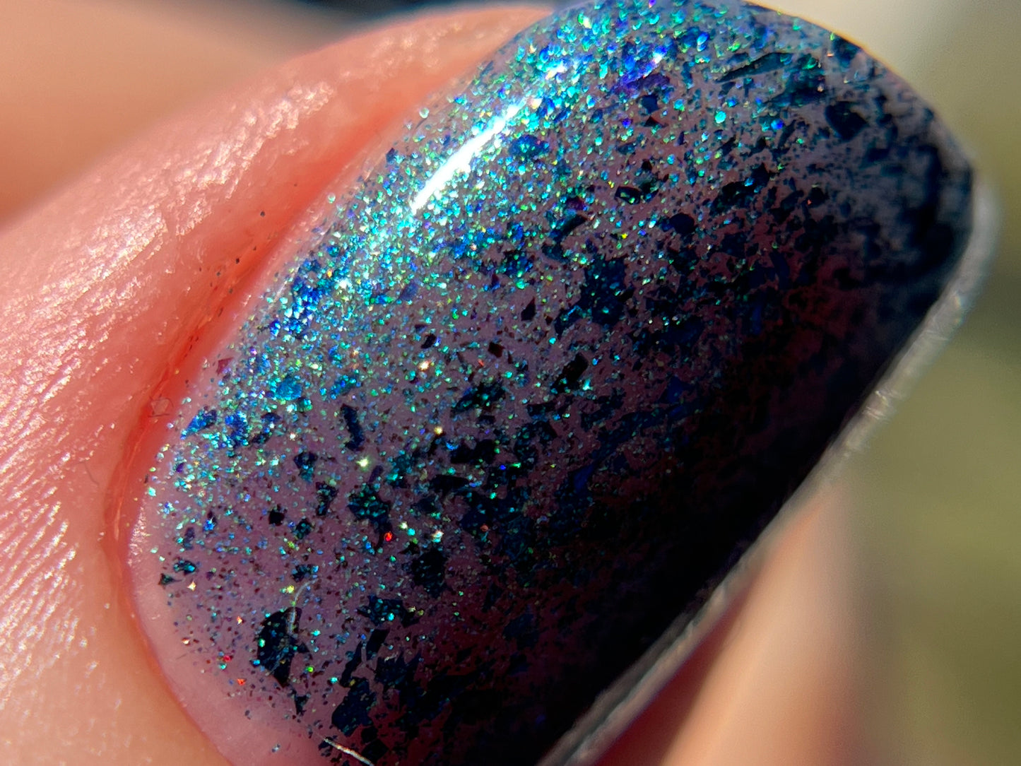 Don’t Be Weevil SoU