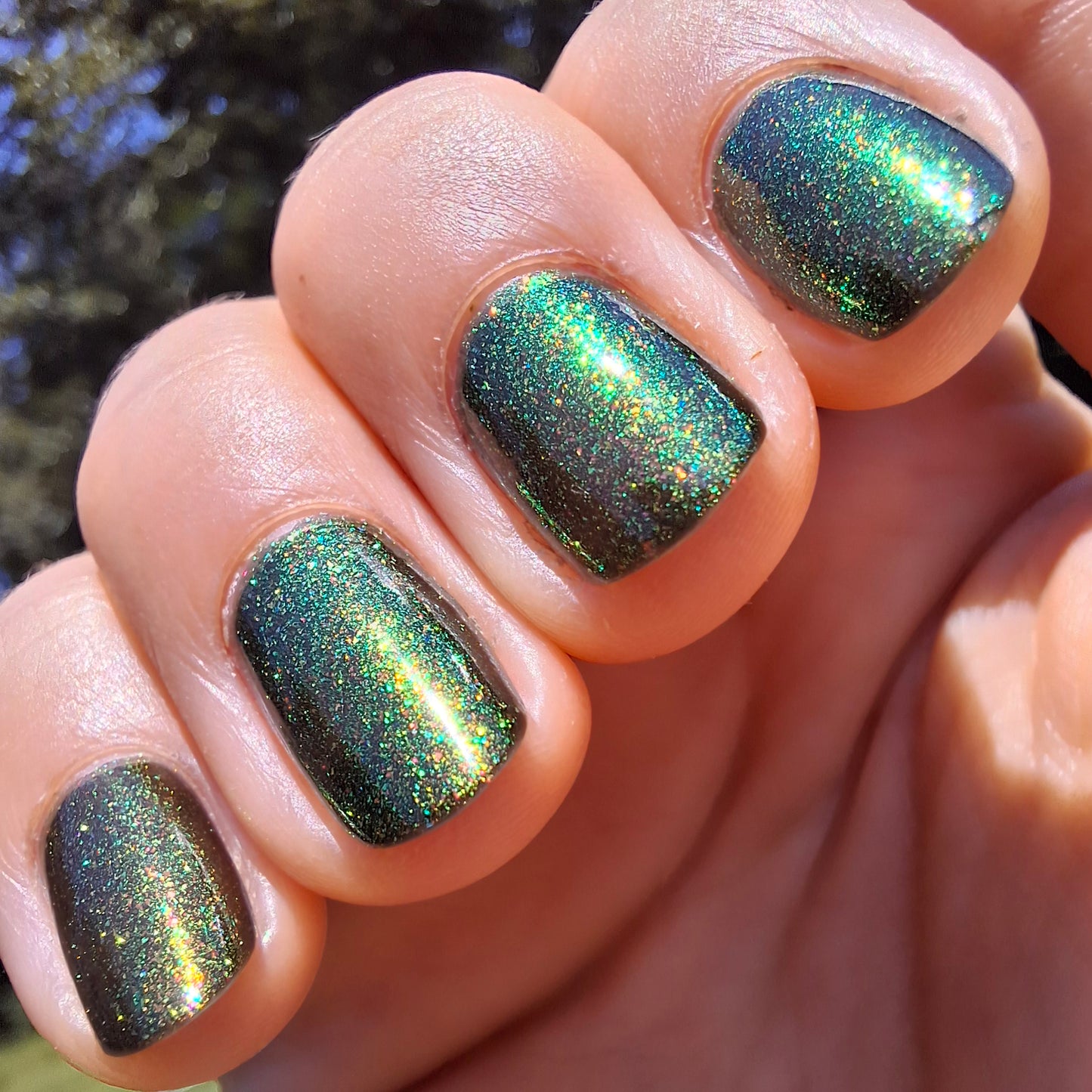 Gilded Embers