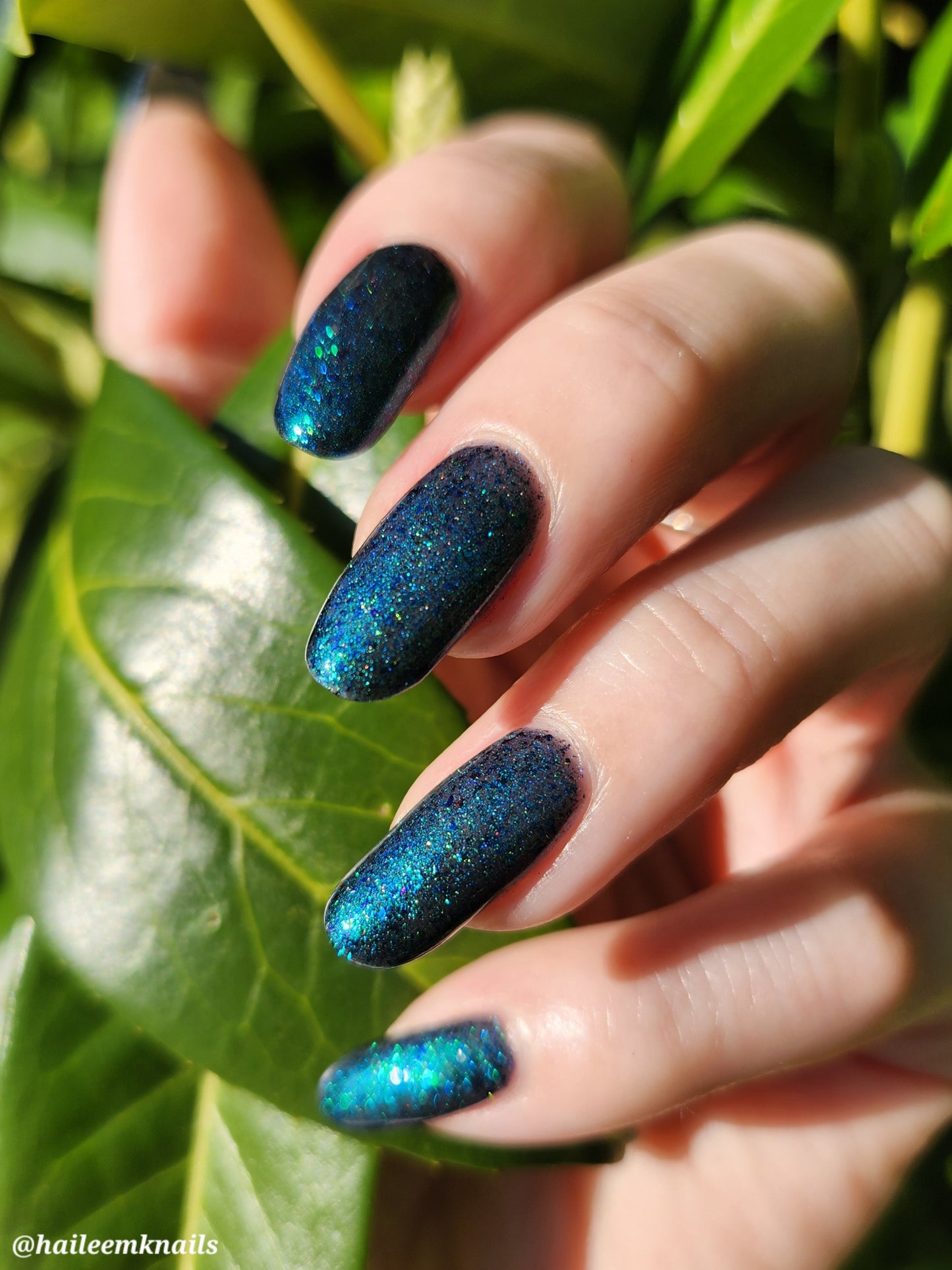 Don’t Be Weevil SoU