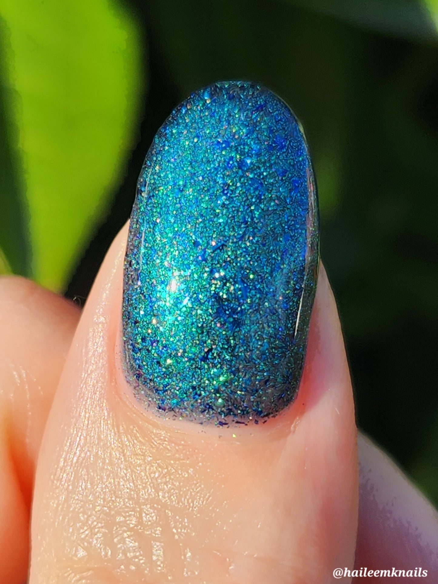 Don’t Be Weevil SoU