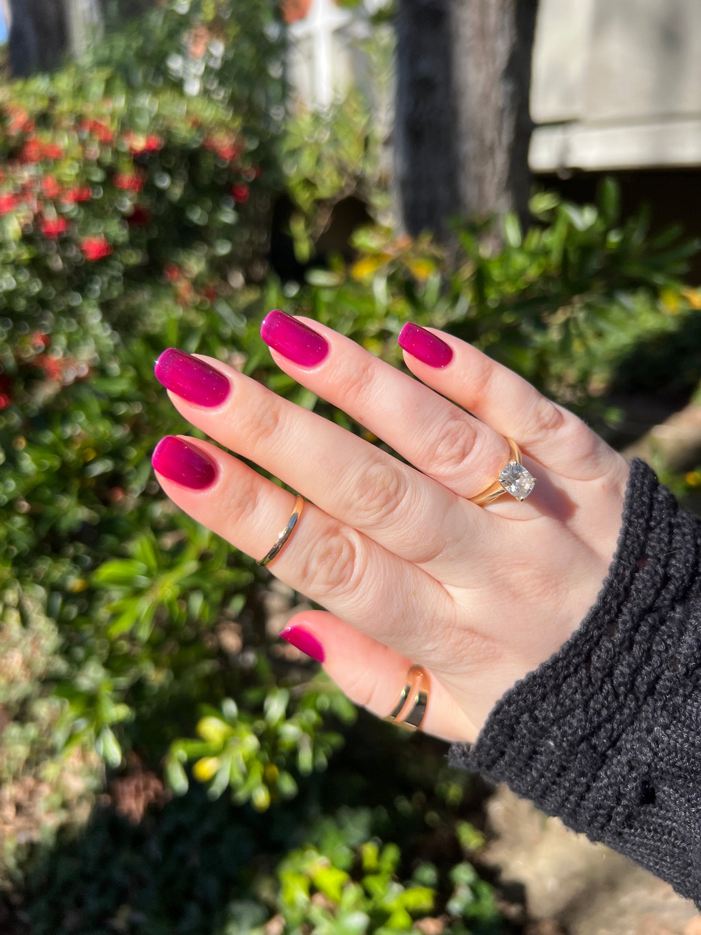 Velvet Luxe
