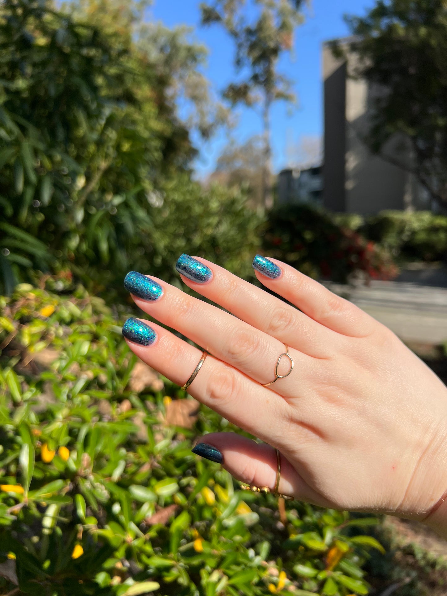 Don’t Be Weevil SoU