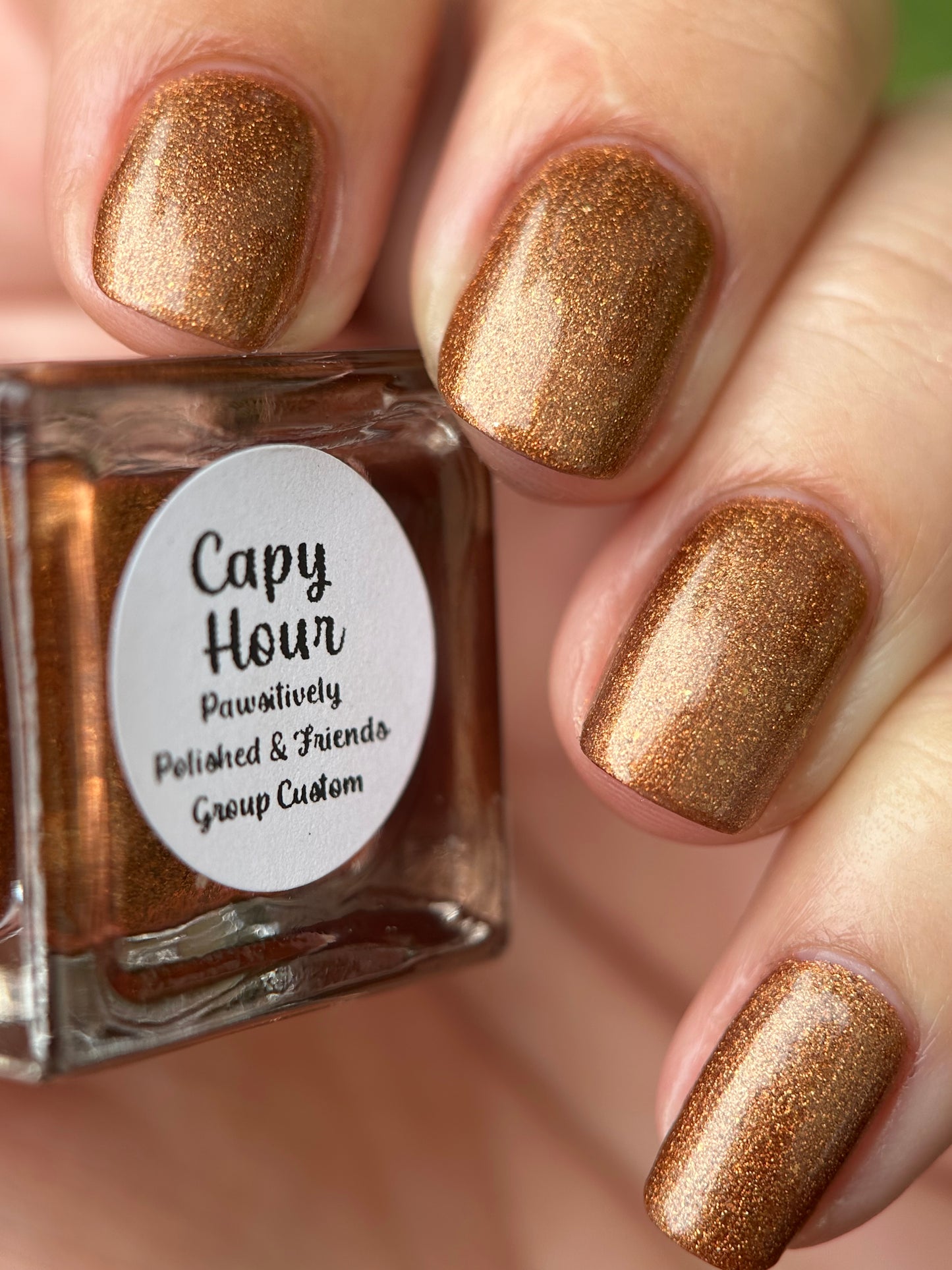 Capy Hour