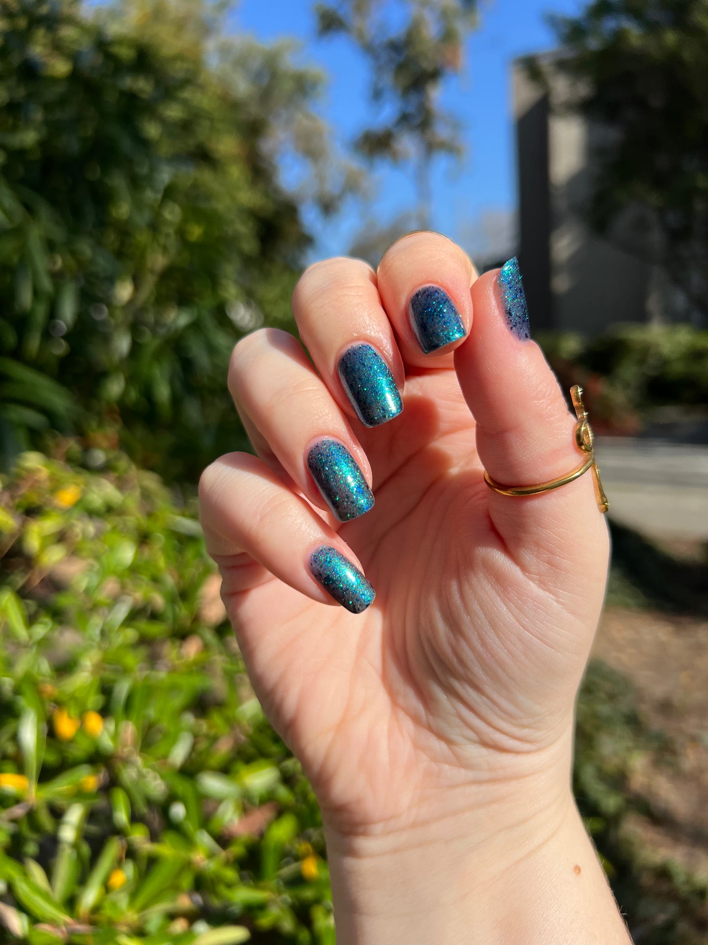 Don’t Be Weevil SoU