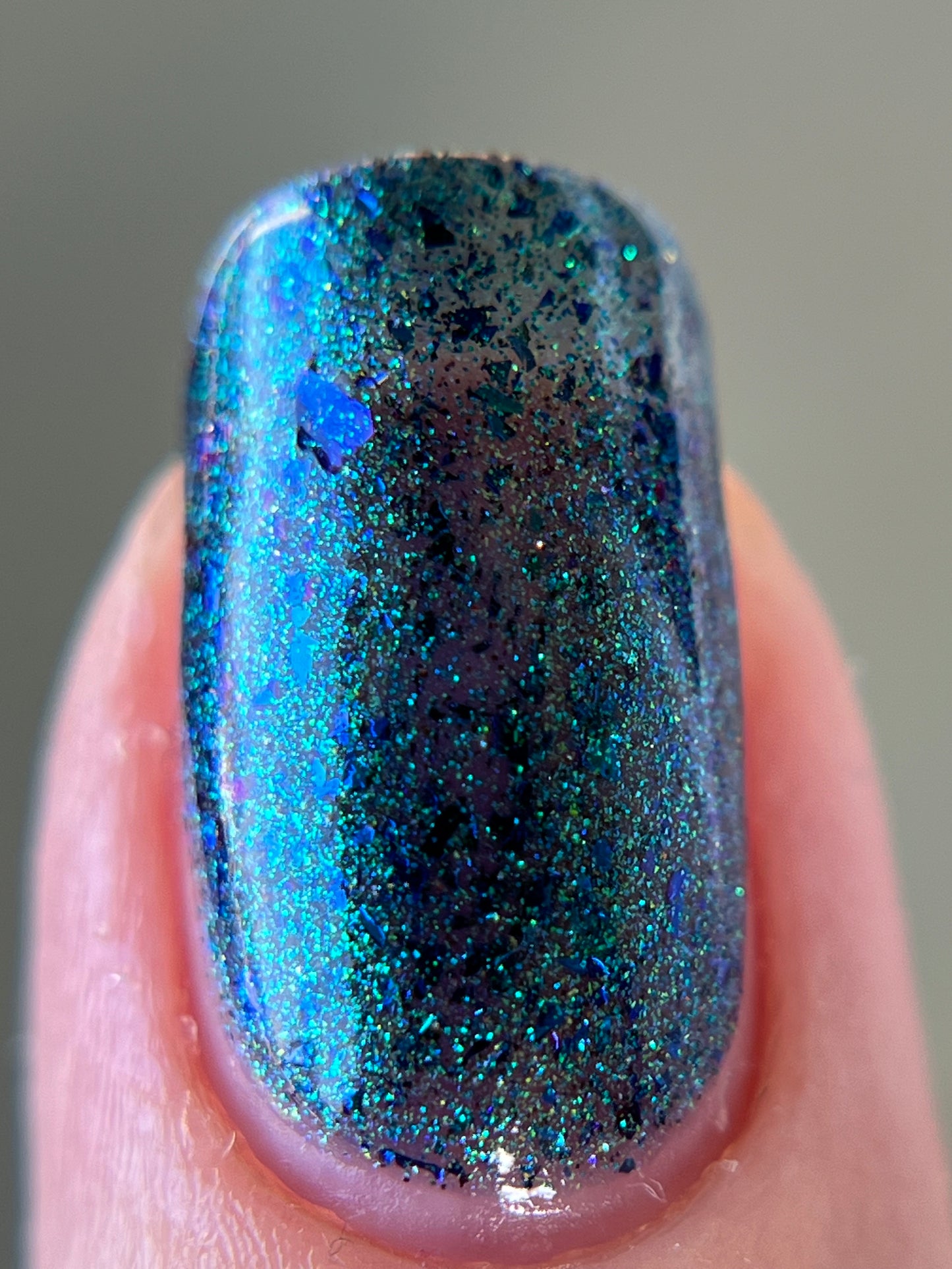 Don’t Be Weevil SoU