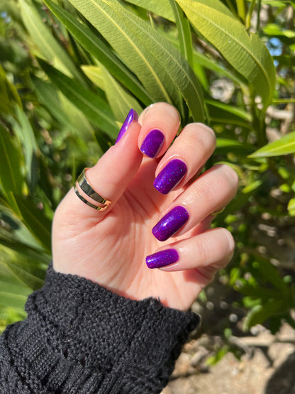 Beautiful Breakdown LE