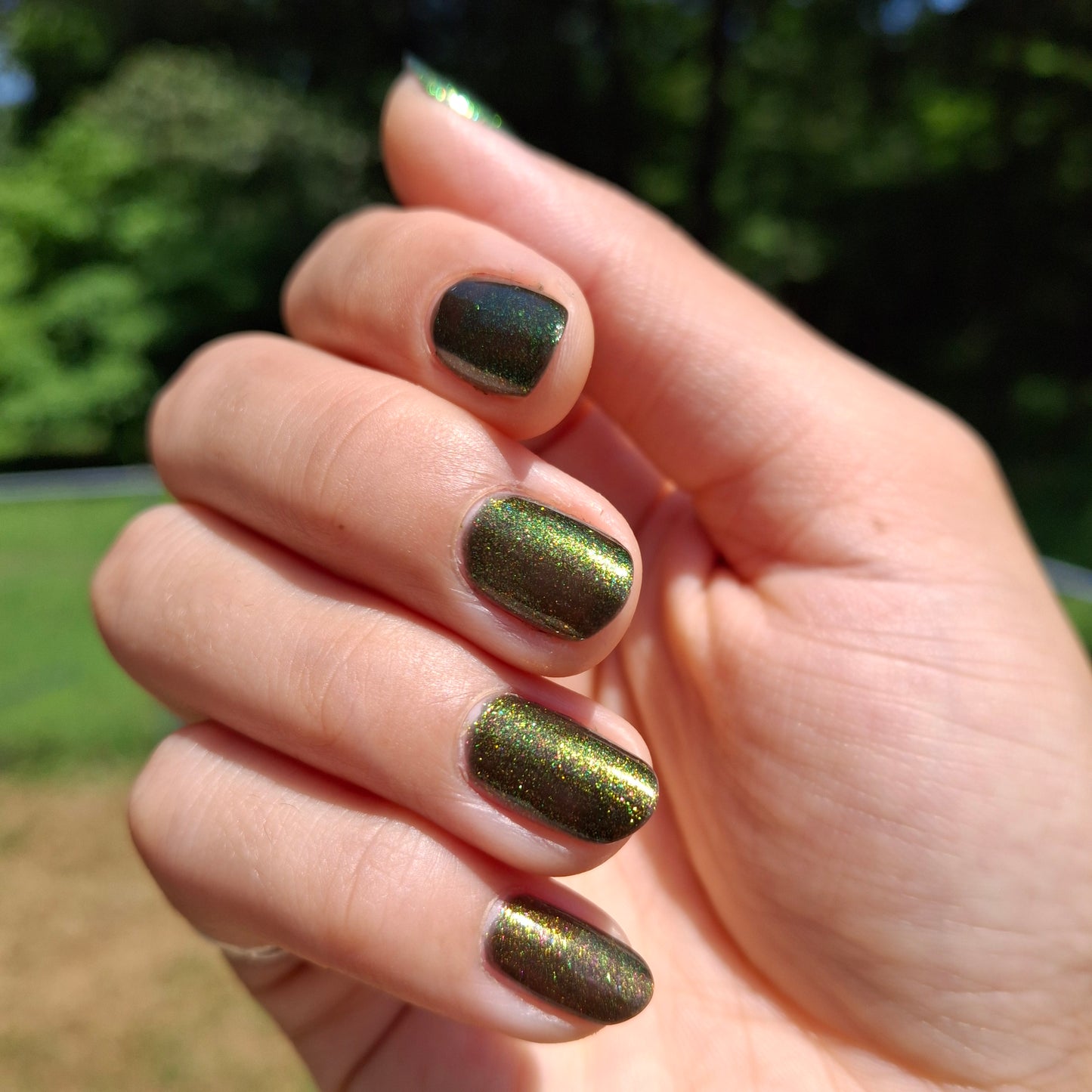Gilded Embers