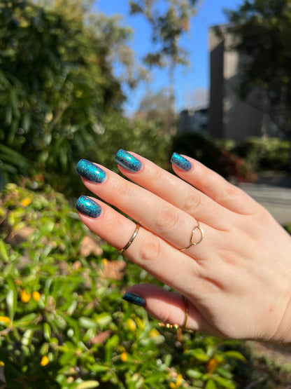 Don’t Be Weevil SoU