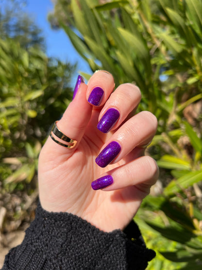 Beautiful Breakdown LE