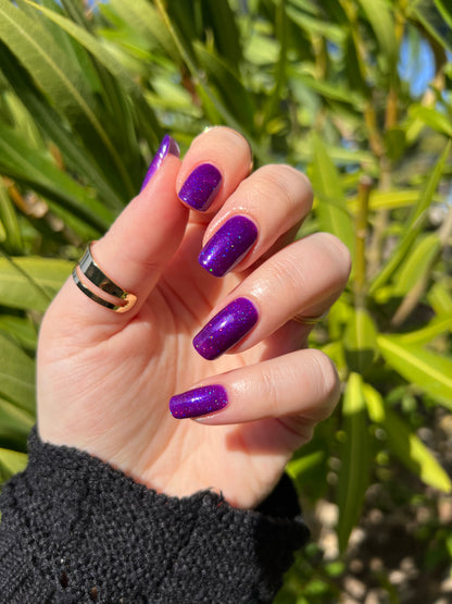 Beautiful Breakdown LE