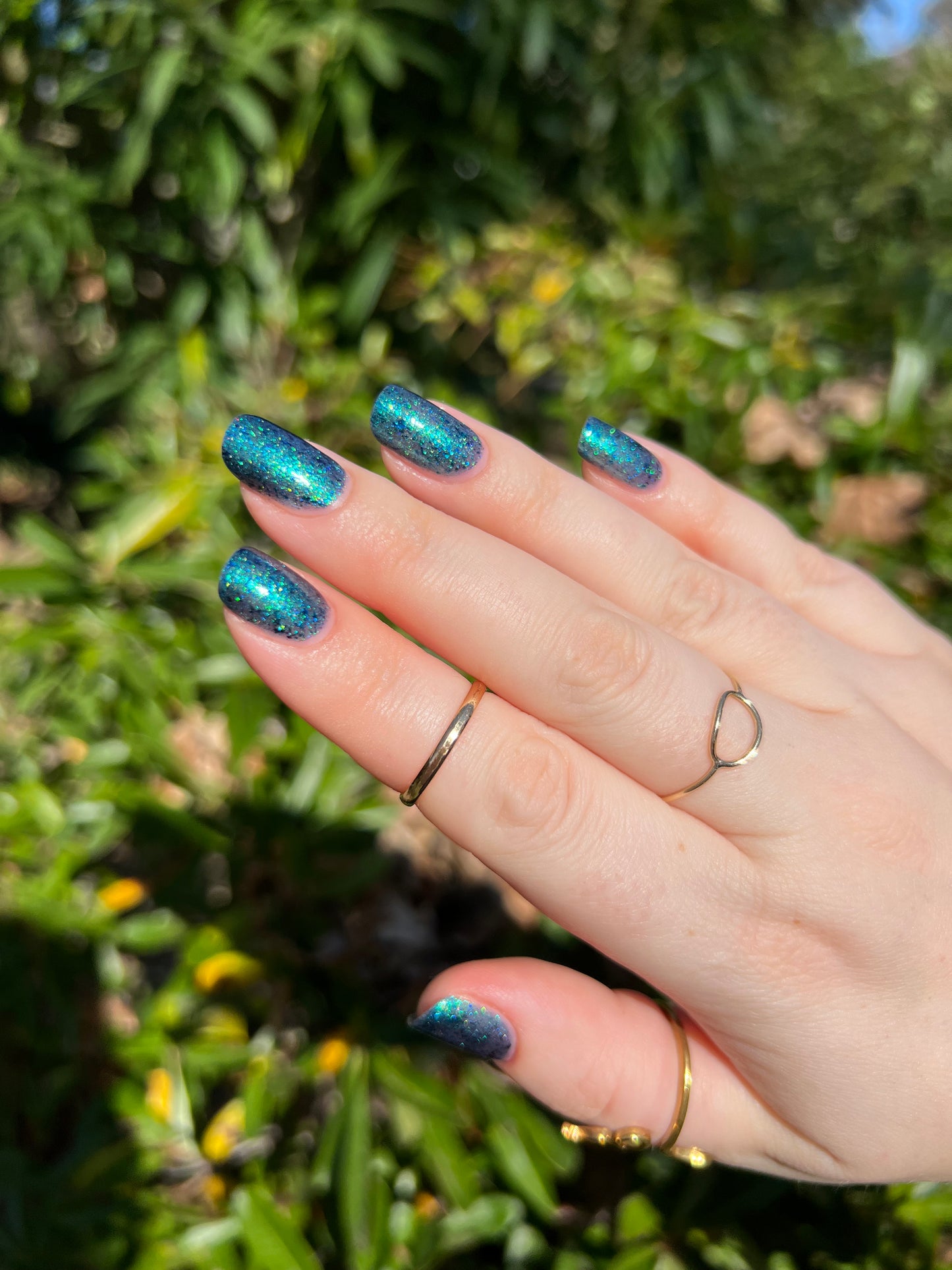 Don’t Be Weevil SoU