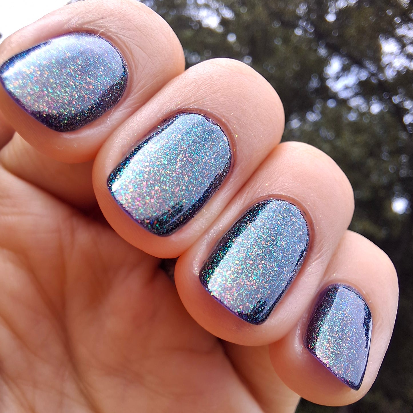 Royal Embers