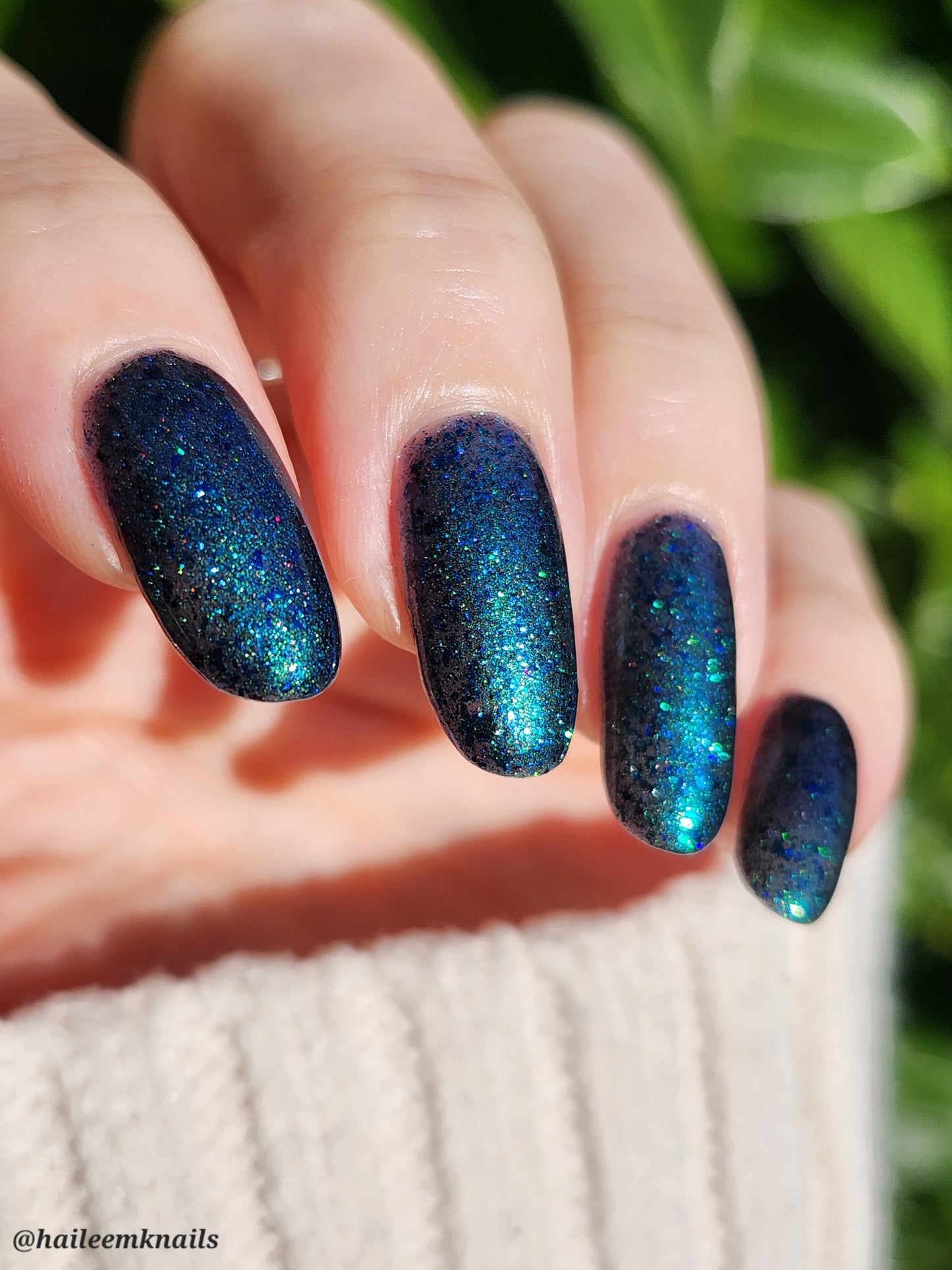 Don’t Be Weevil SoU