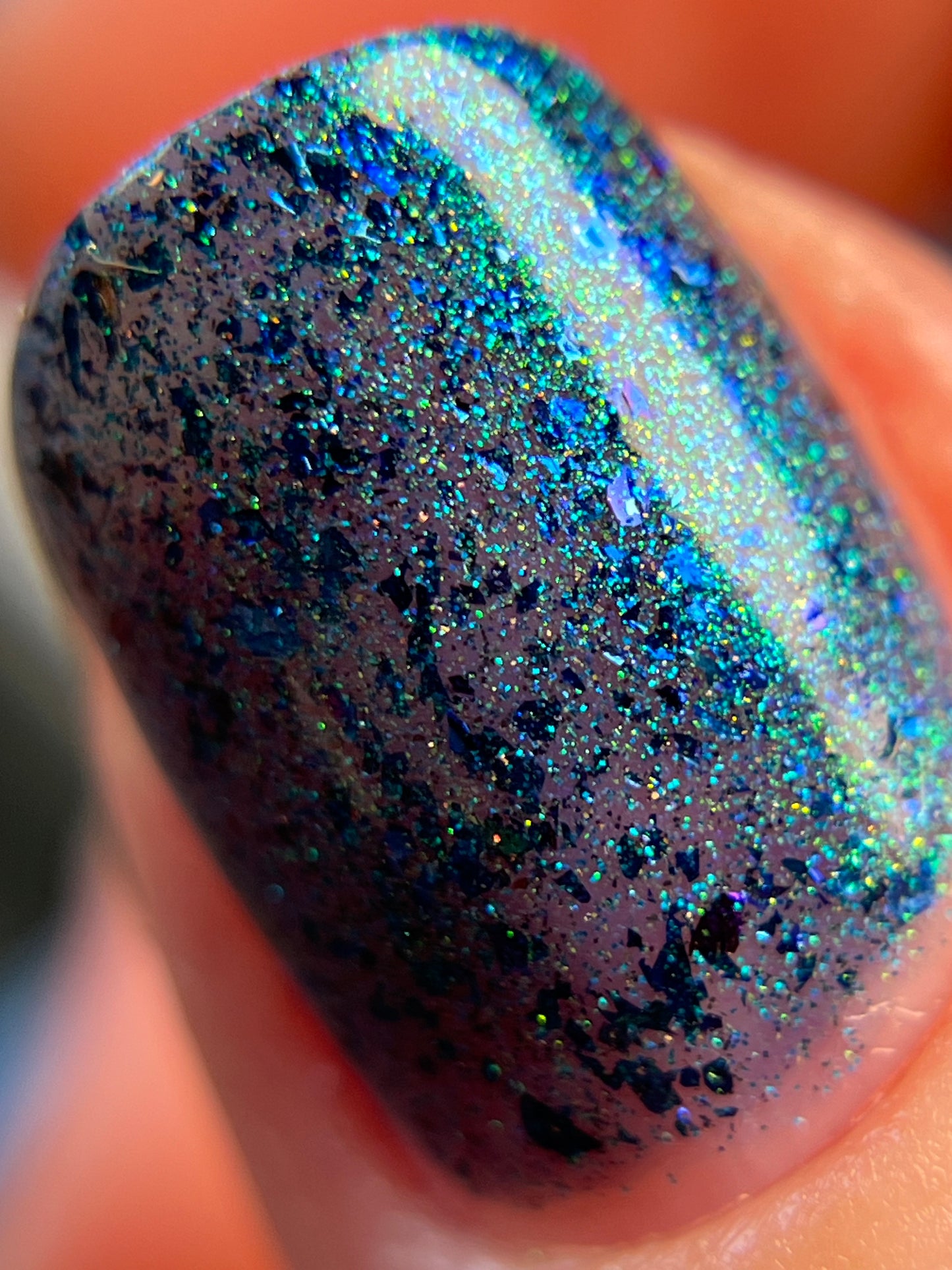 Don’t Be Weevil SoU