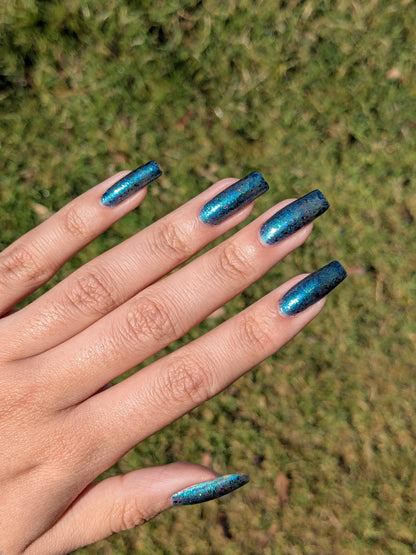 Don’t Be Weevil SoU