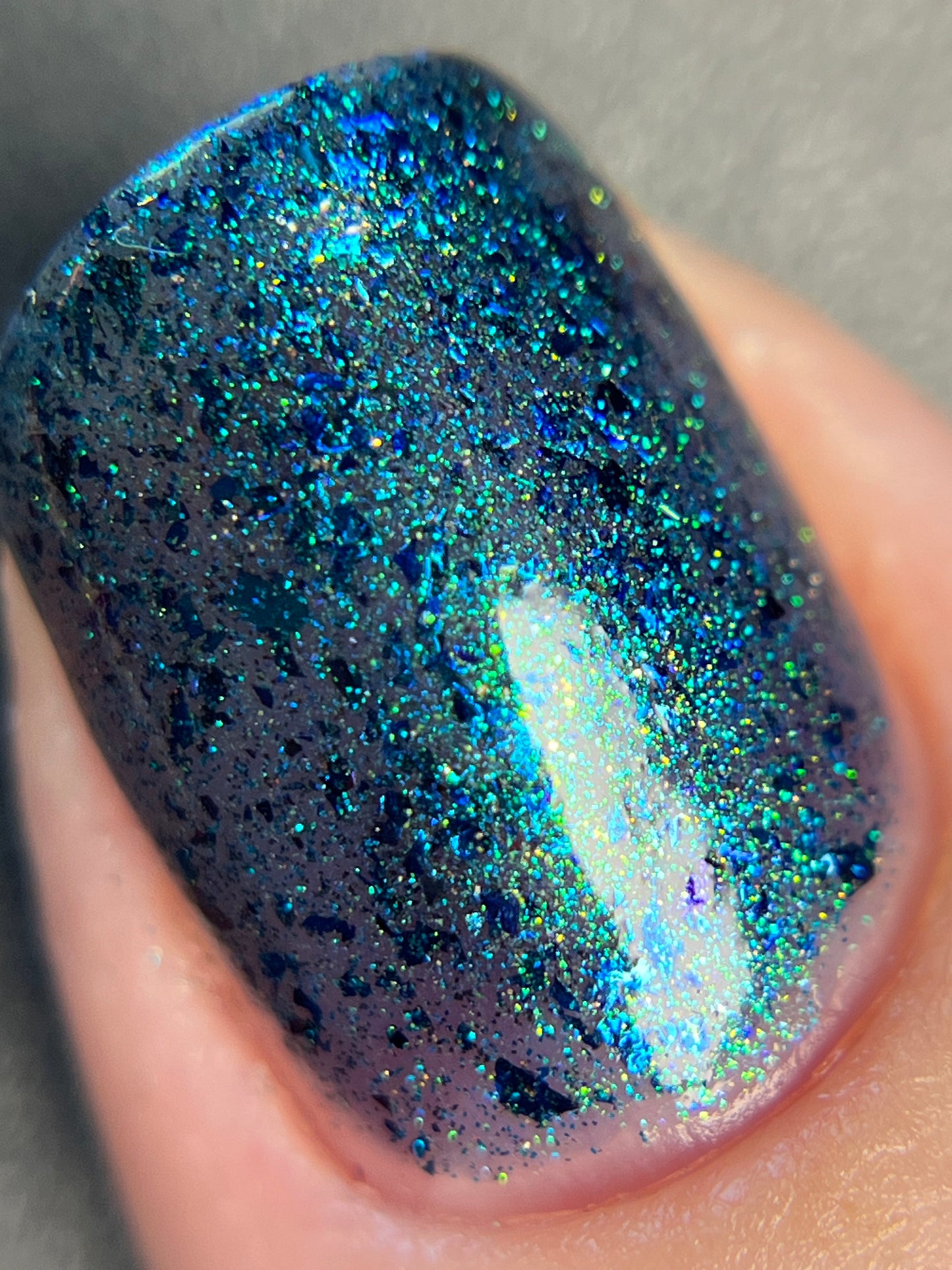 Don’t Be Weevil SoU